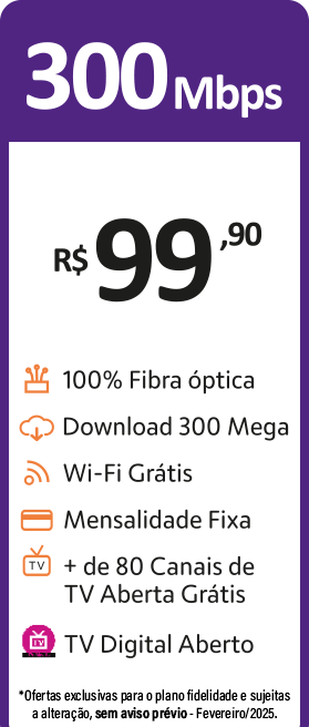 300 (13)